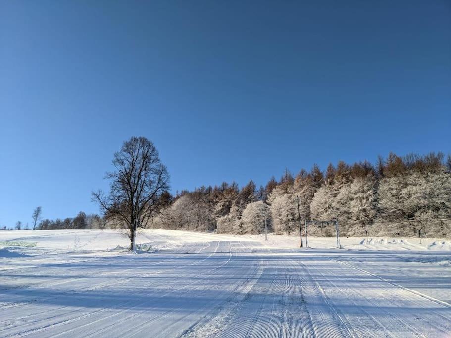 Bienenstock Lejlighed Seiffen Eksteriør billede